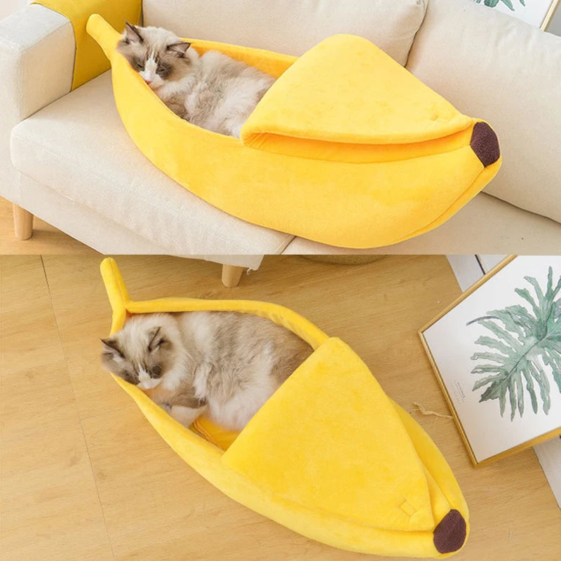 Transform Your Pet's Naptime Into Blissful Joy